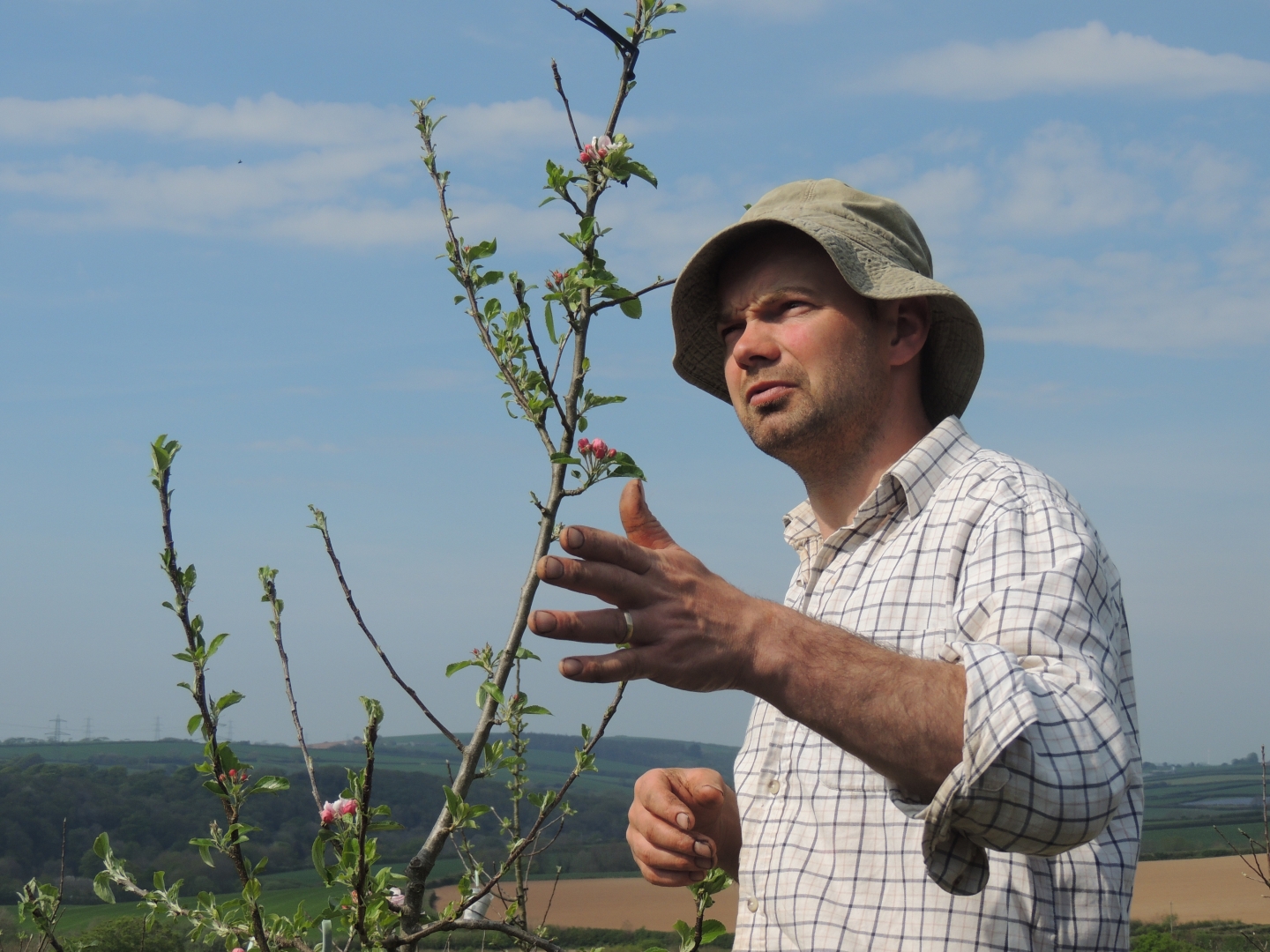 Vineyard, Brewery & Traditional Cider farm tours Cornwall Discovery