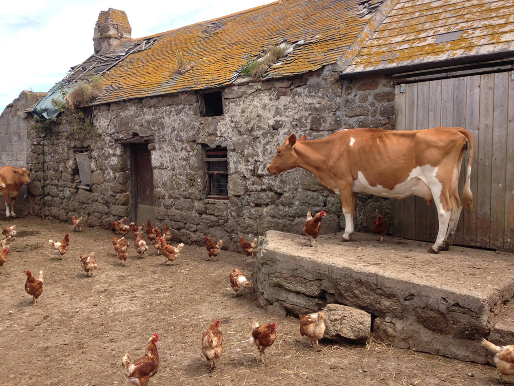 An 18th century Cornish farmhouse in Penwith, part of the West Cornwall guided tour