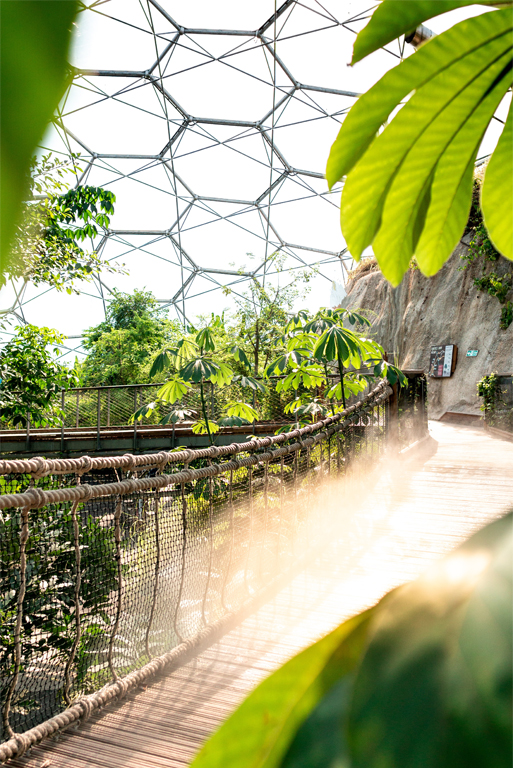 The Eden Project, Cornwall Gardens Guided Tour