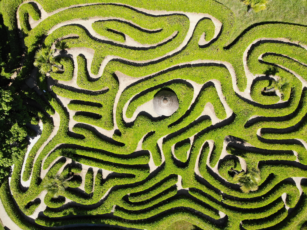 Glendurgan Maze on the Cornwall Gardens Tour