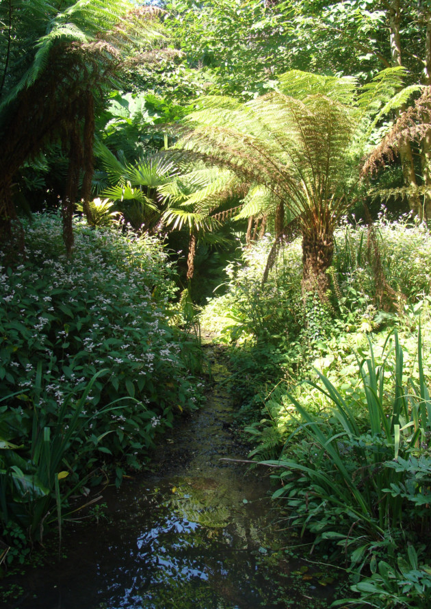 Lost Gardens of Heligan, Cornwall–It's a jungle out there!