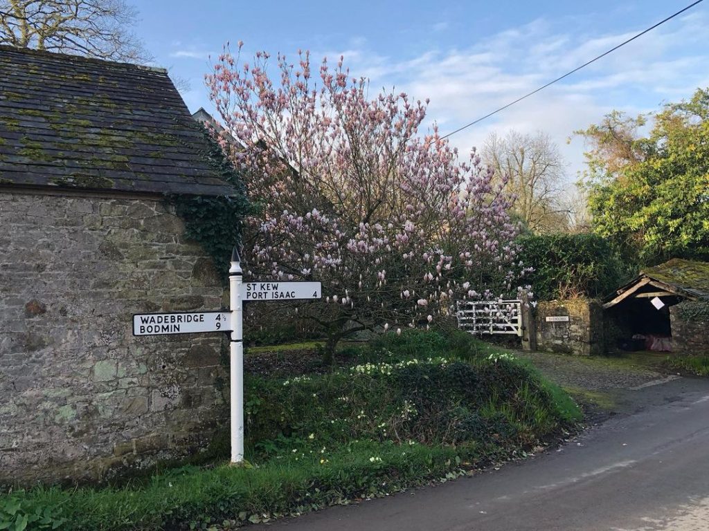 Cornish lanes with Spring flowers