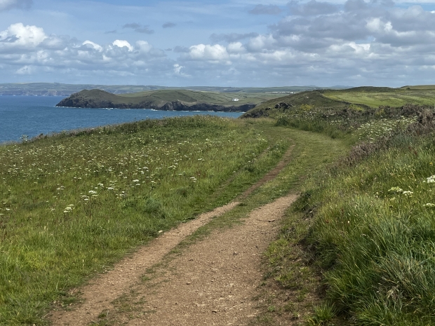The South West Coast Path, part of our Salt Path Experience